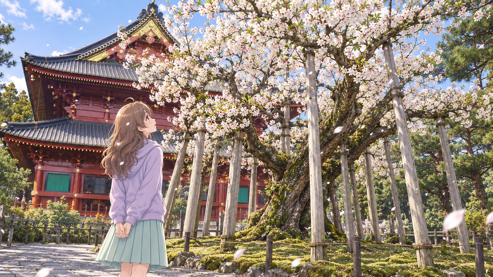 何本もの支柱に支えられた輪王寺の金剛桜を、白い花を見上げて立つ主人公の後ろ姿
