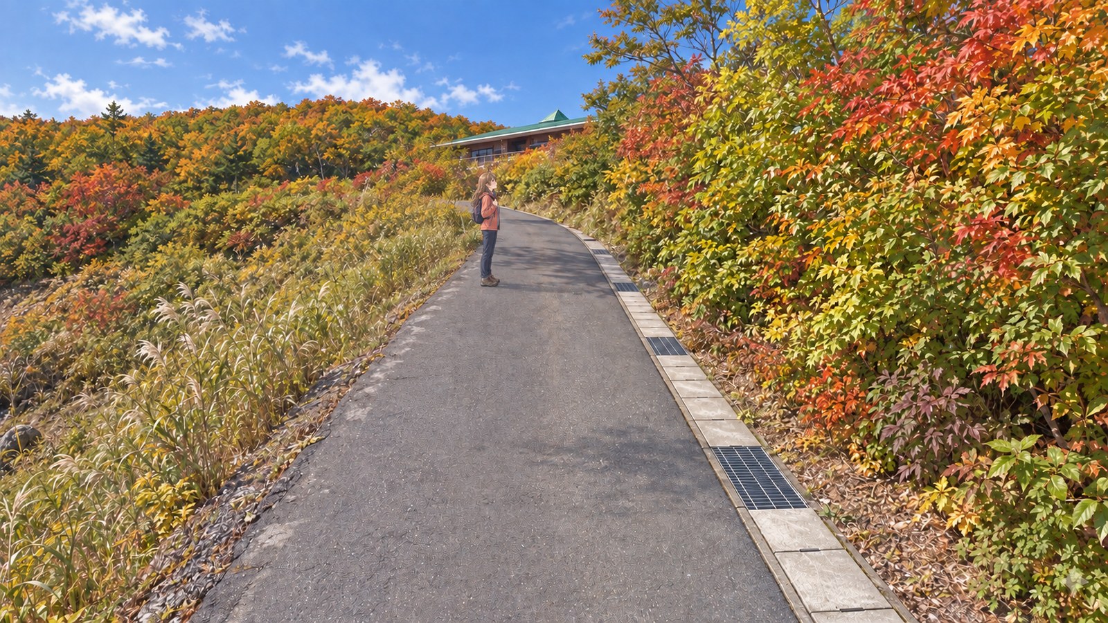 A woman in an orange jacket and backpack looks at autumn leaves beside the paved path at Iwakagami-daira.